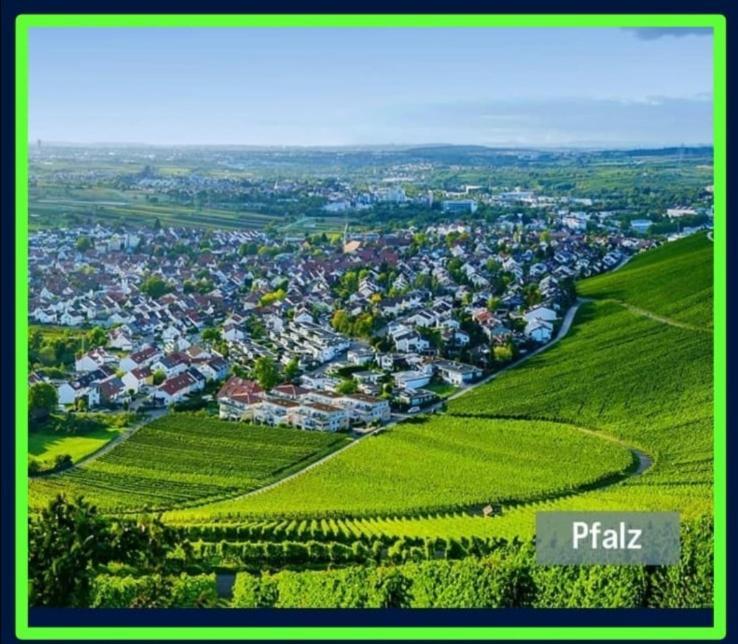 Ferienwohnung Forest & Wein Neustadt an der Weinstraße Стая снимка